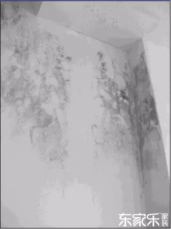 墻面發(fā)霉發(fā)黑怎么辦？墻面已經(jīng)出現(xiàn)霉斑時怎么做？