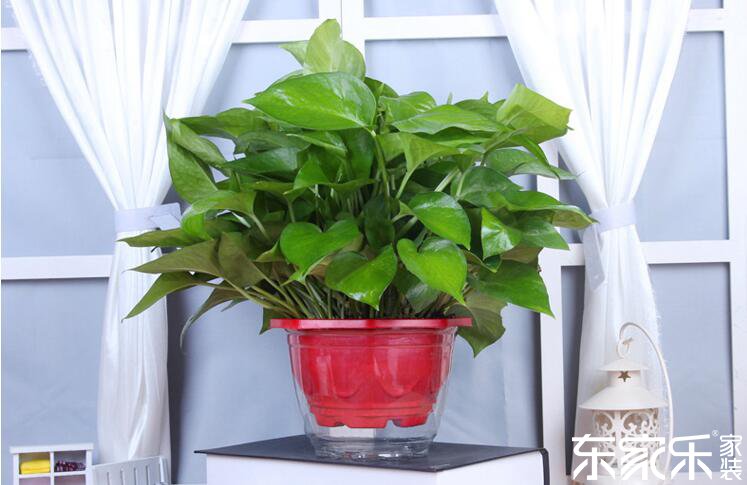 剛裝修完的房子里含有哪些有害物質(zhì)？哪些方法可以去除？
